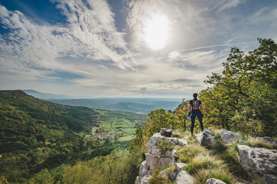 Lov na tartuf (Buzet)