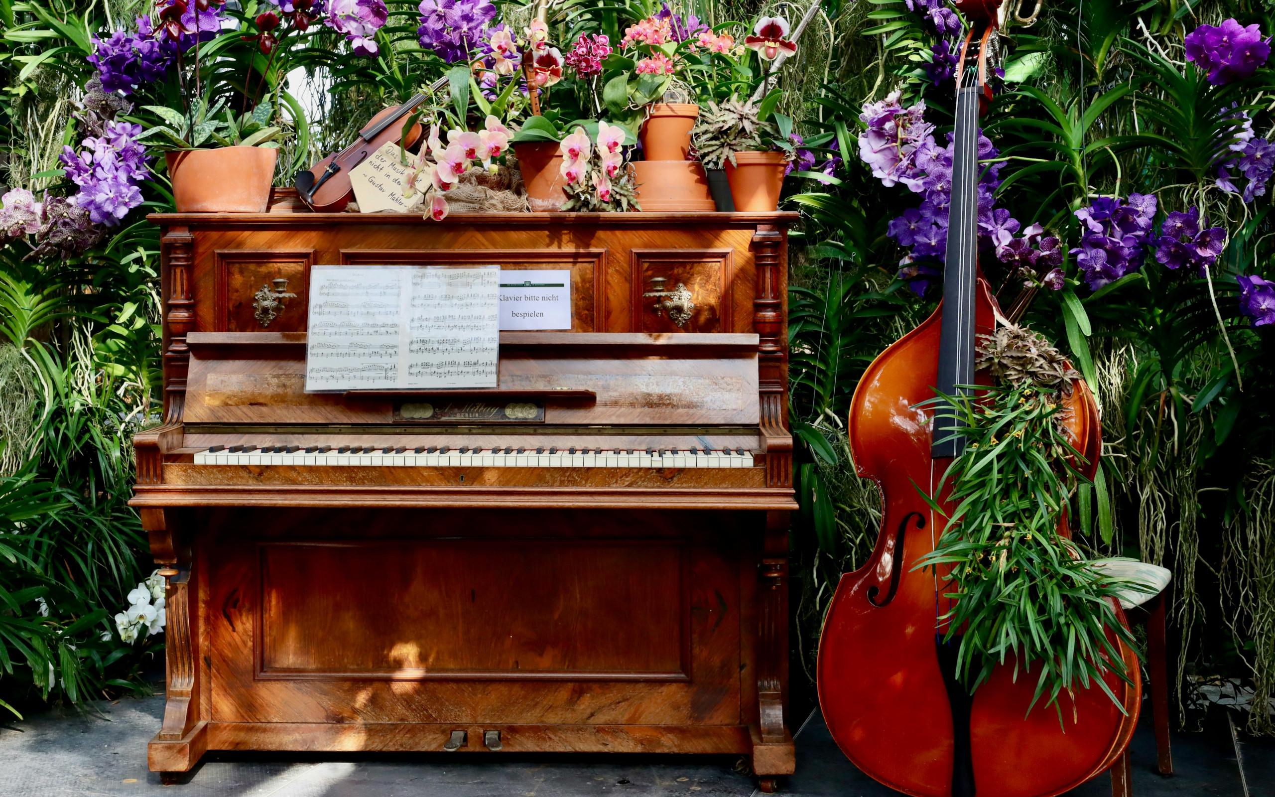 Duo Cello & Piano